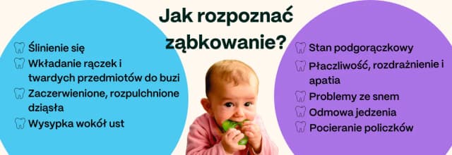 Kiedy pojawia się pierwszy ząbek u niemowlaka? Objawy i pomoc przy ząbkowaniu Kiedy pojawia się pierwszy ząbek u niemowlaka? Objawy i pomoc przy ząbkowaniu
